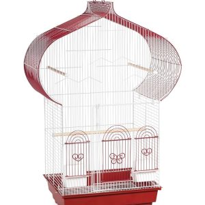 Prevue Hendryx SP1620-1 Casbah Cage in Berry and White, 1/2-Inch