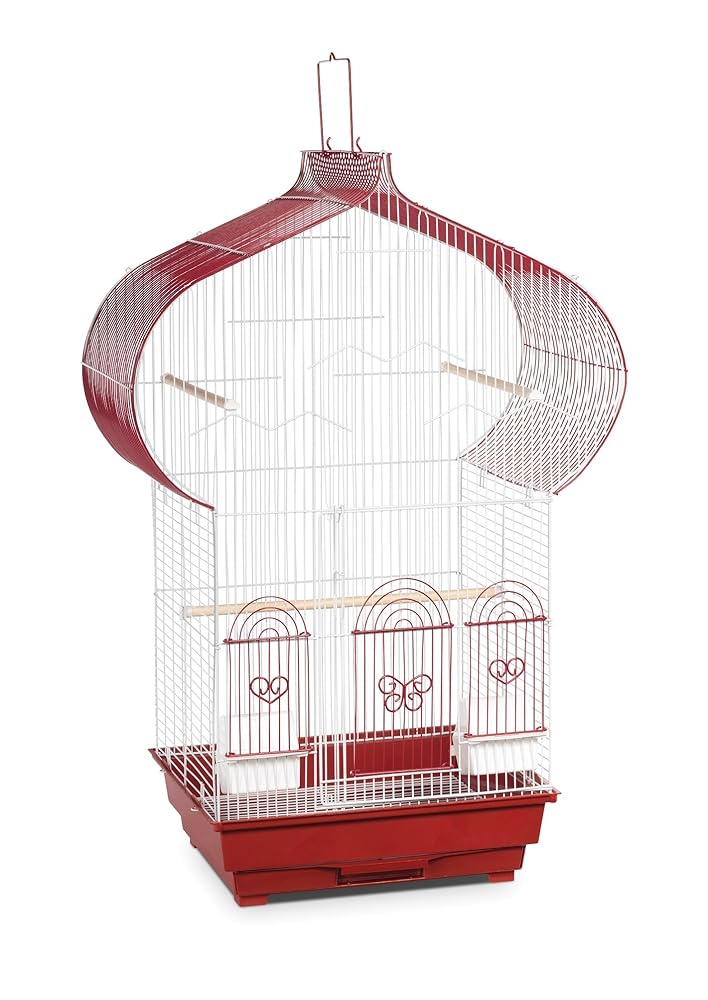 Prevue Hendryx SP1620-1 Casbah Cage in Berry and White, 1/2-Inch