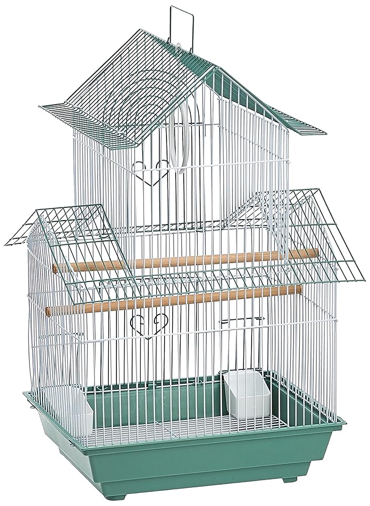 Prevue Hendryx SP1720-4 Shanghai Parakeet Cage in Inexperienced and White