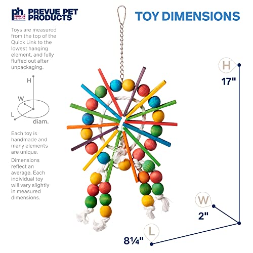 Prevue Pet Merchandise Bodacious Bites Ferris Wheel Hen Toy for Bodily and Psychological Stimulation - Mannequin 60957