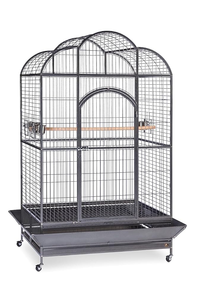 Prevue Pet Merchandise Silverado Macaw Dometop Cage 3155S – 46″ x 36″ x 78.25